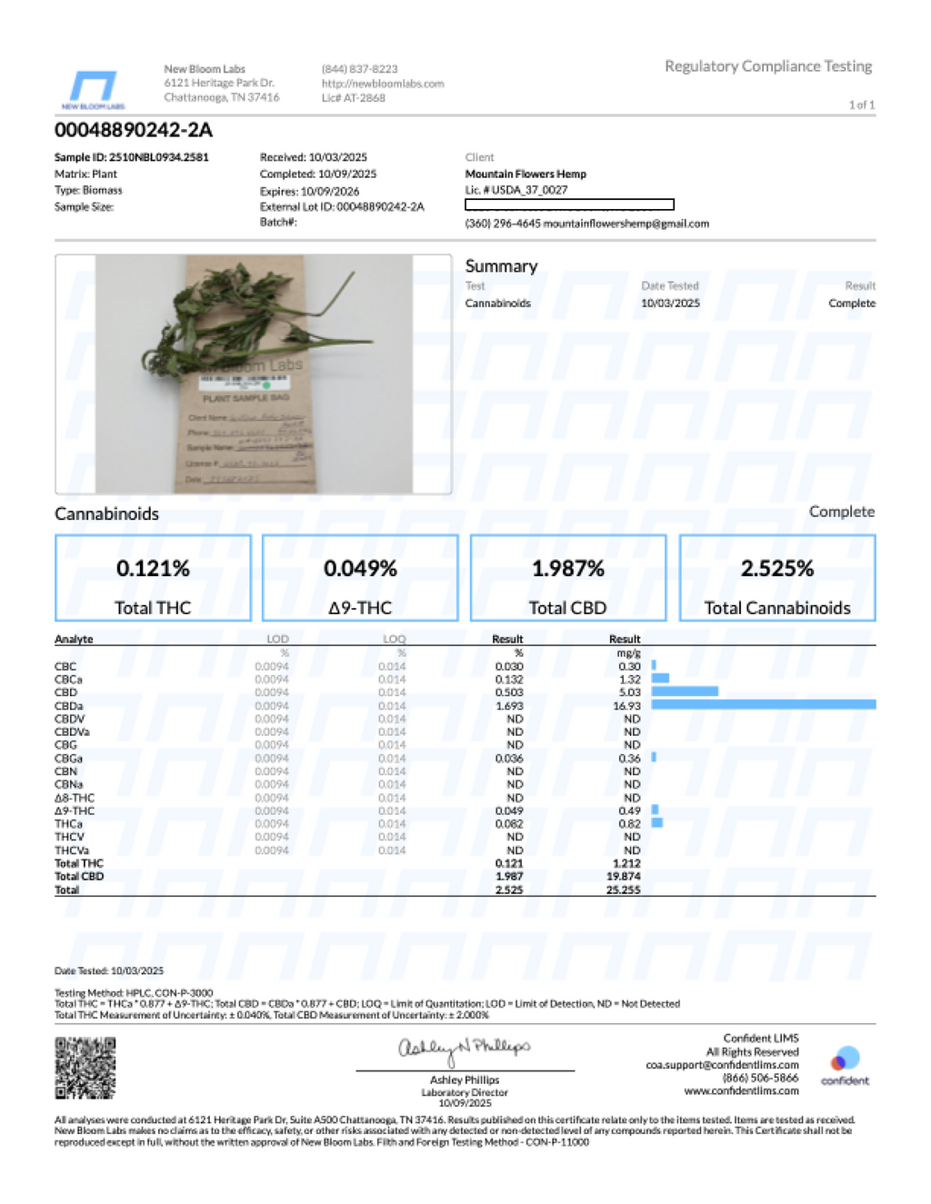 93 Pheno Of Carolina Souwahh