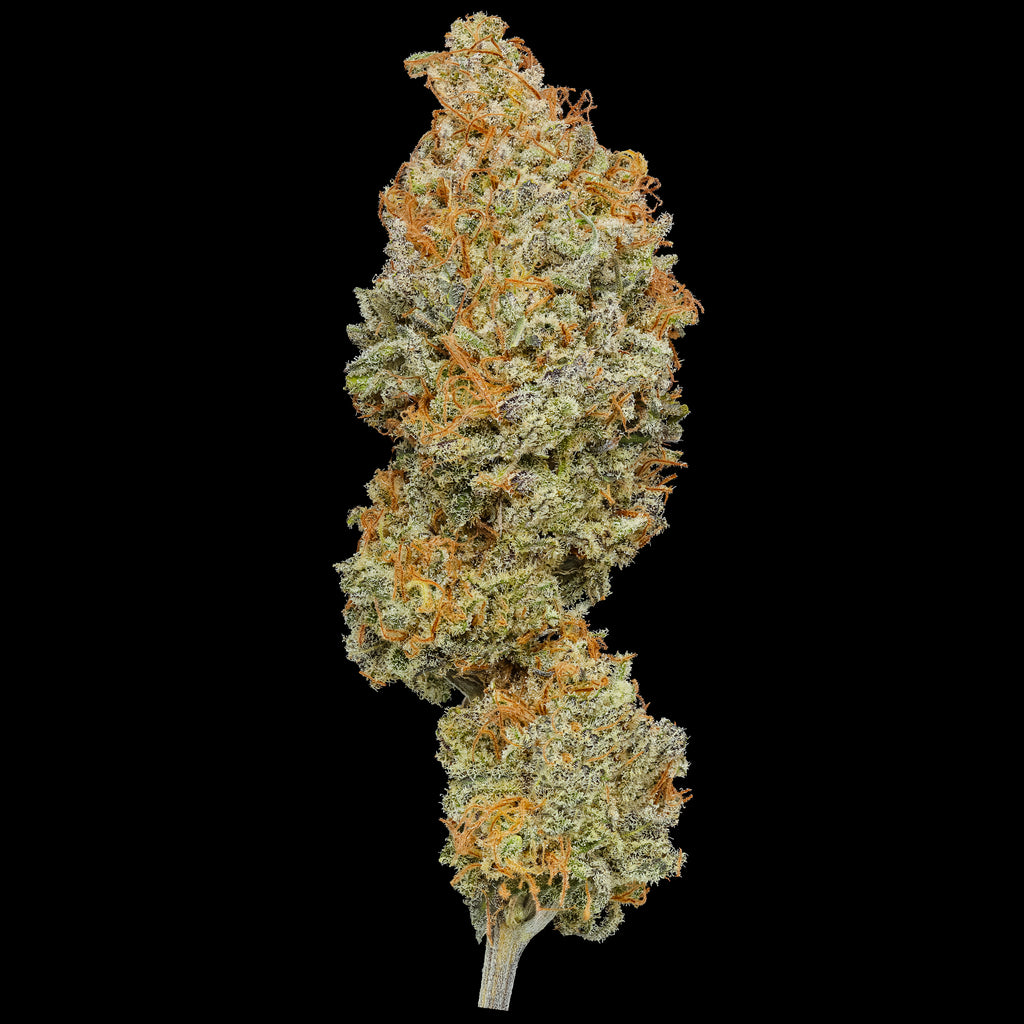 Long Valley Red (Long Valley Royal Kush x Panama Red) Coming Soon